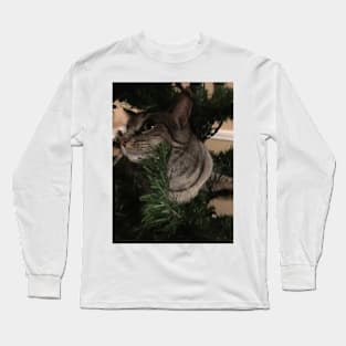 Kitty Up a Tree Long Sleeve T-Shirt